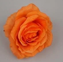 Rose Head Big